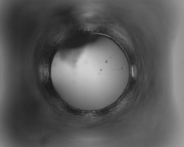 X0000093511155200710121526