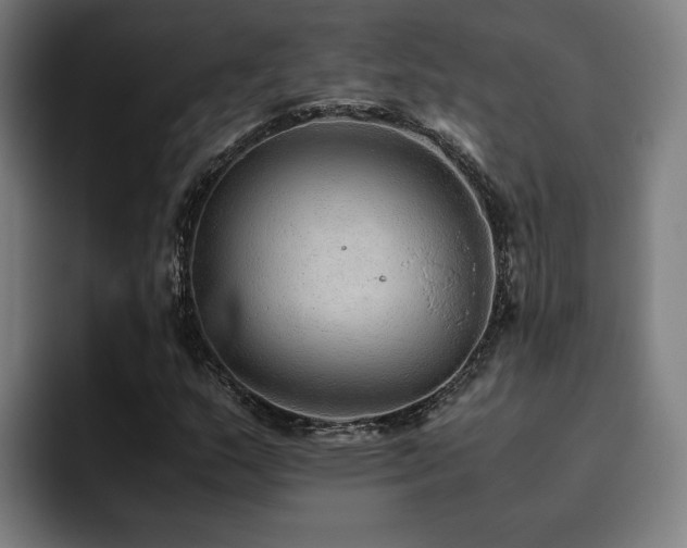 X0000093511159200710121526