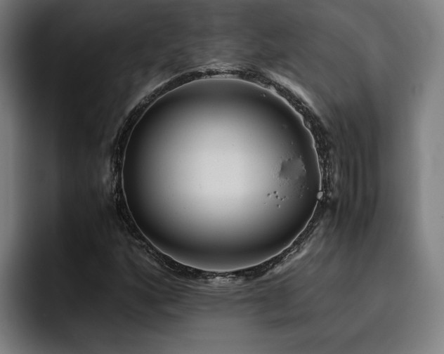 X0000093511160200710121526