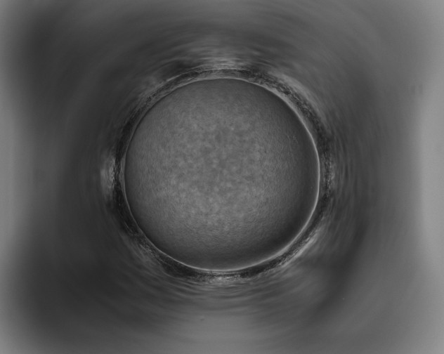 X0000093511161200710121526