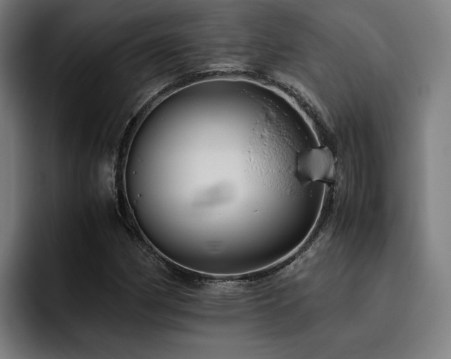 X0000093511162200710121526