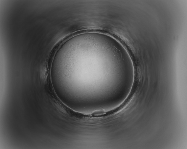 X0000093511163200710121526