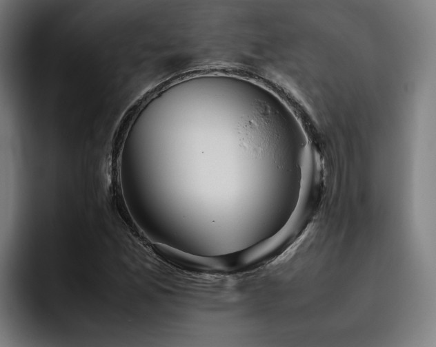 X0000093511165200710121526