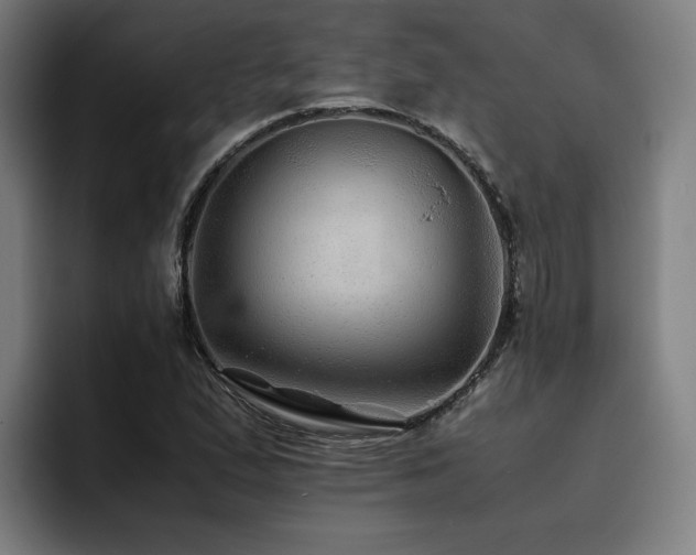 X0000093511167200710121526