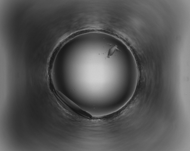 X0000093511168200710121526
