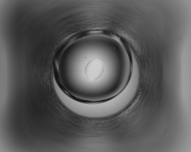 X0000093511169200710121526