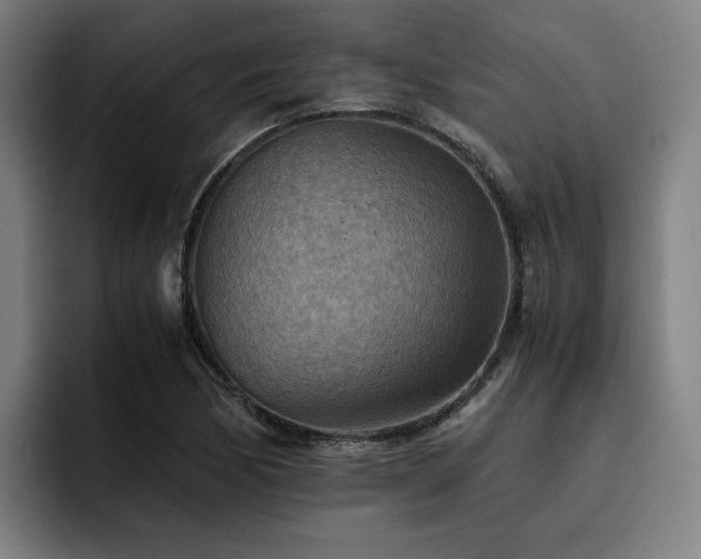 X0000093511170200710121526