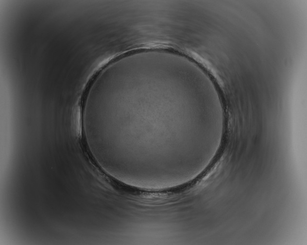 X0000093511171200710121526