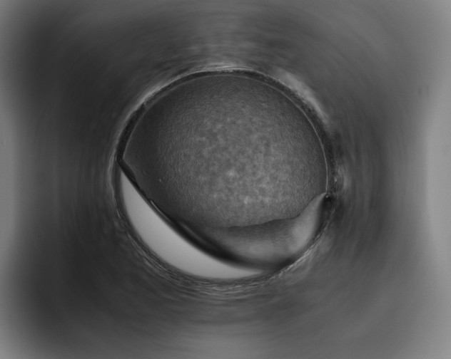 X0000093511173200710121526
