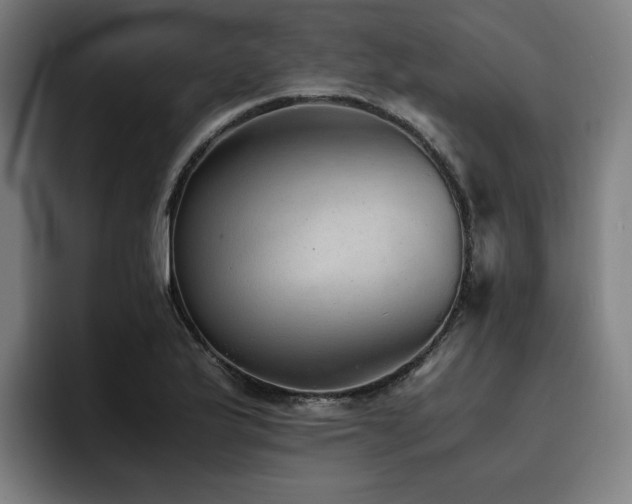 X0000093511175200710121526