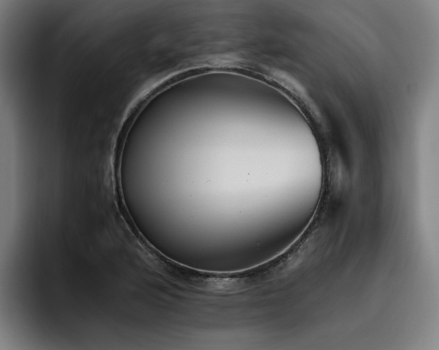 X0000093511176200710121526