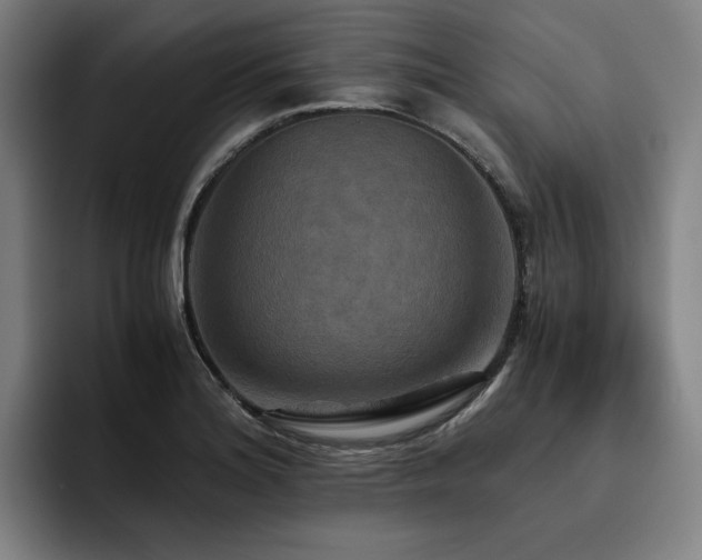 X0000093511180200710121526