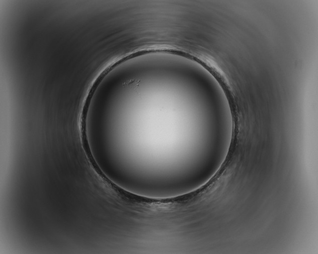 X0000093511181200710121526