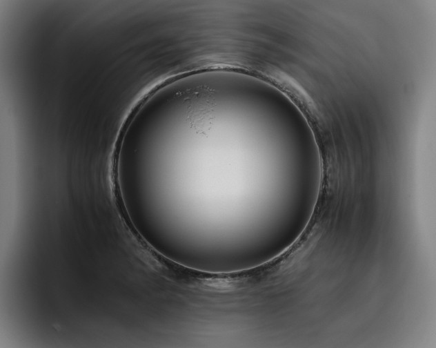 X0000093511182200710121526