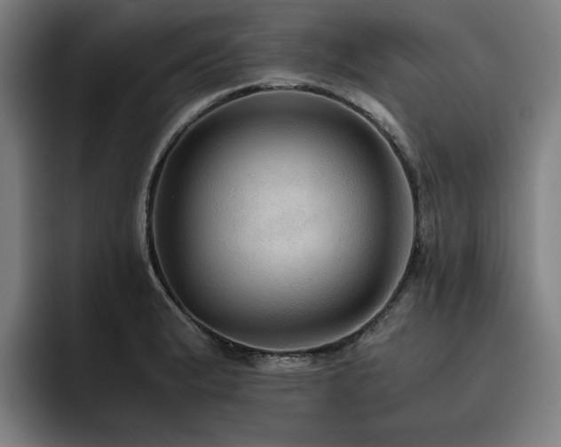 X0000093511183200710121526