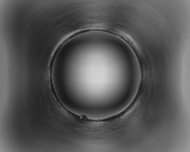 X0000093511184200710121526