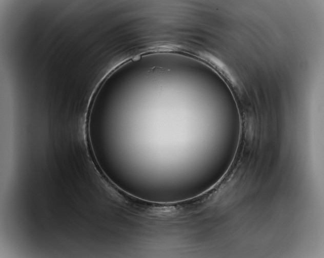 X0000093511186200710121526