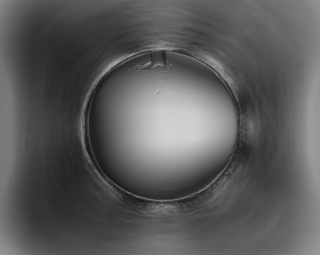 X0000093511187200710121526
