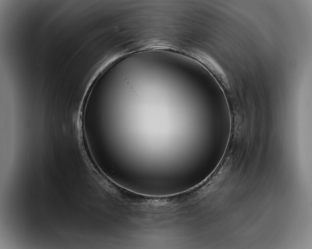 X0000093511190200710121526