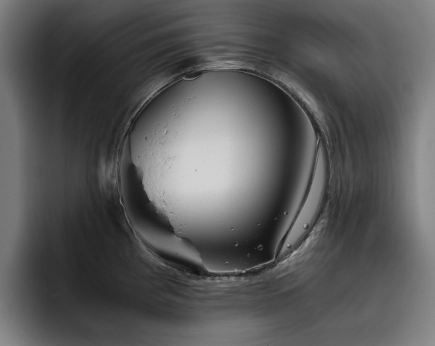 X0000093511193200710121526