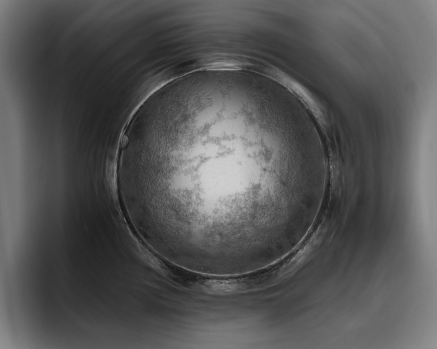 X0000093511194200710121526