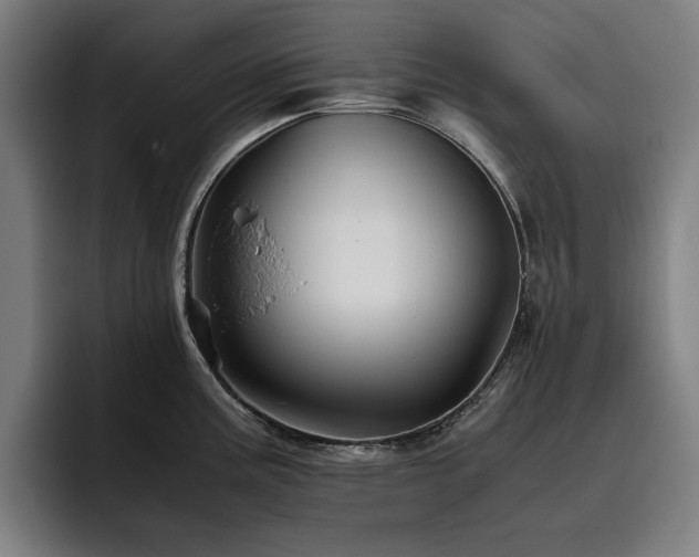 X0000093511195200710121526