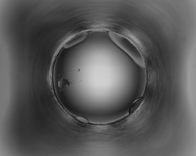 X0000093511196200710121526
