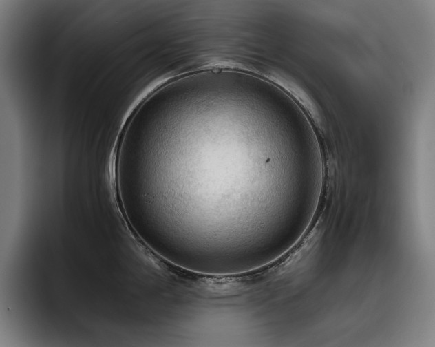 X0000093511198200710121526