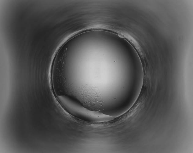 X0000093511199200710121526
