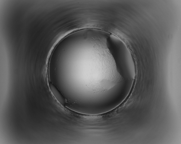 X0000093511200200710121526