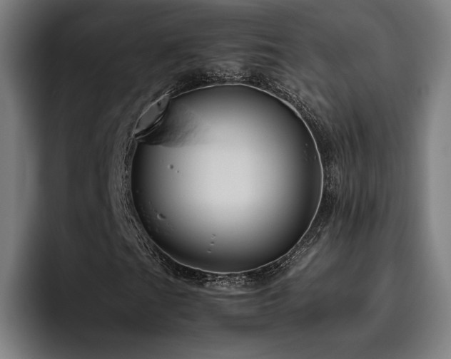 X0000093511201200710121525