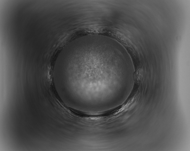 X0000093511202200710121525
