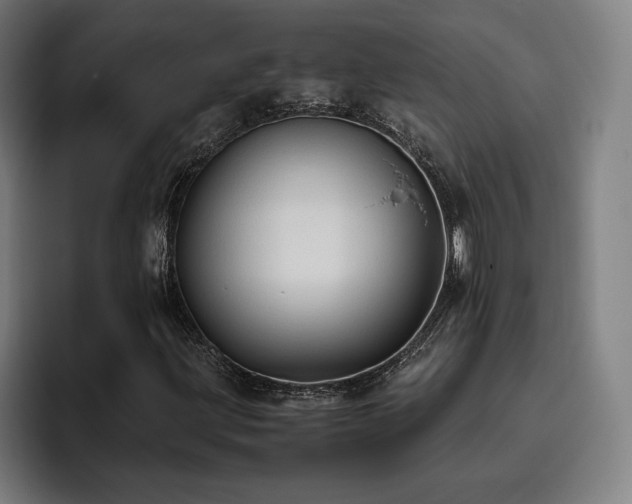 X0000093511203200710121525