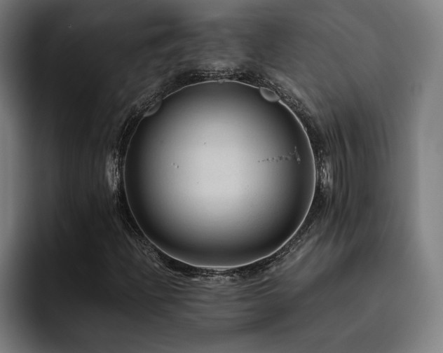 X0000093511204200710121525