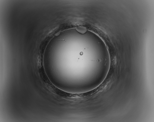 X0000093511205200710121525