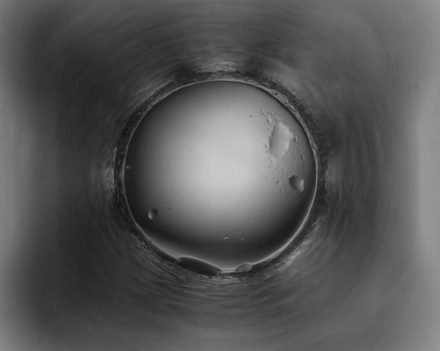 X0000093511209200710121525