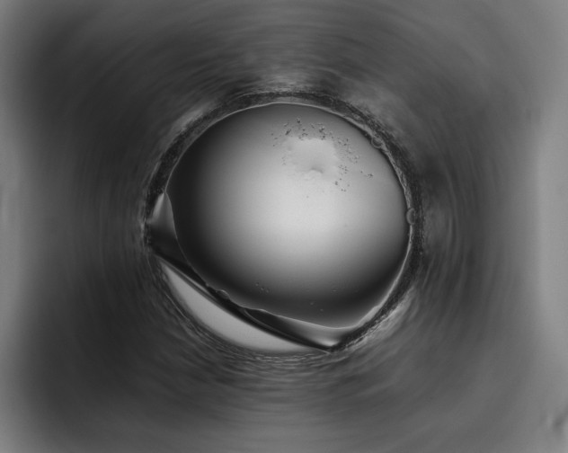 X0000093511210200710121525