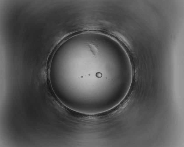 X0000093511212200710121525
