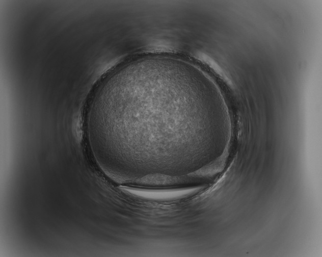X0000093511213200710121525
