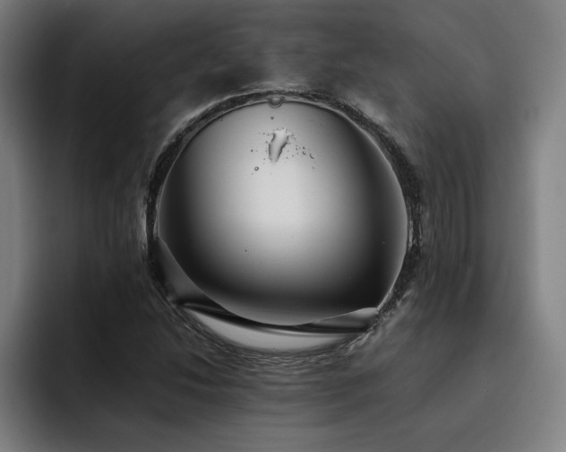 X0000093511214200710121525