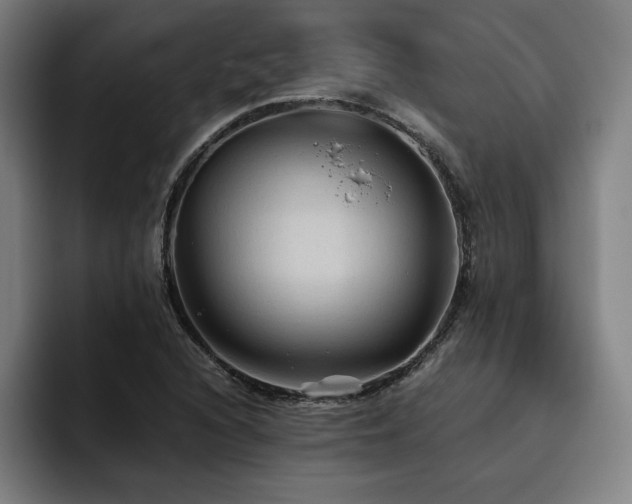 X0000093511216200710121525