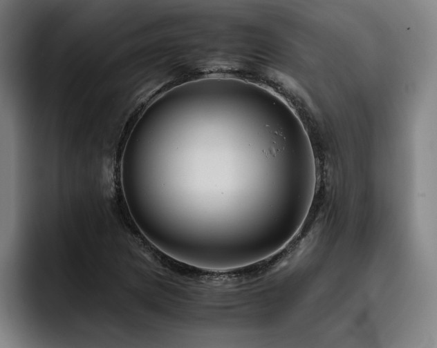 X0000093511217200710121525
