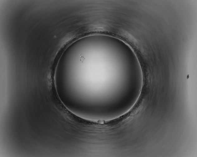 X0000093511218200710121525