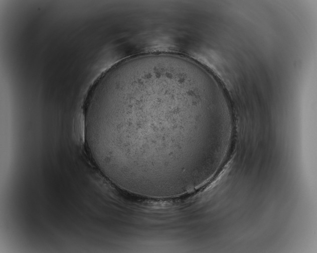 X0000093511219200710121525