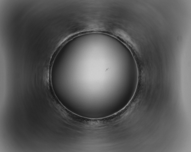 X0000093511220200710121525