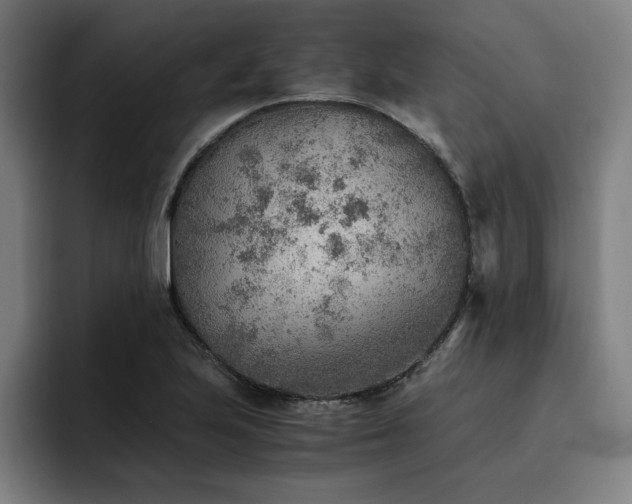 X0000093511223200710121525
