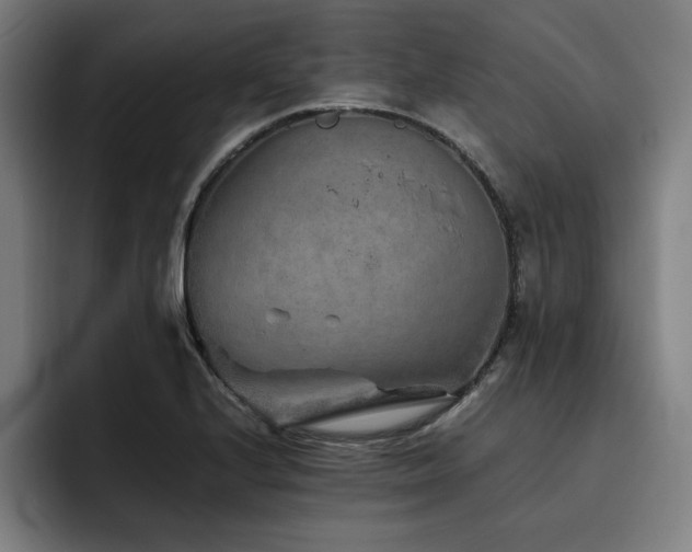 X0000093511224200710121525