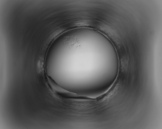 X0000093511225200710121525