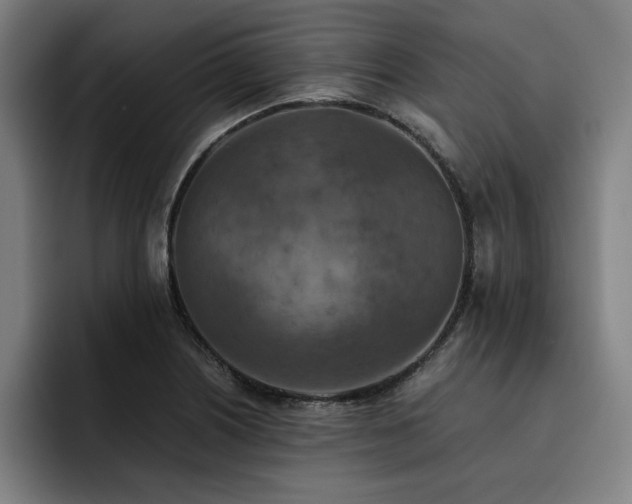 X0000093511226200710121525