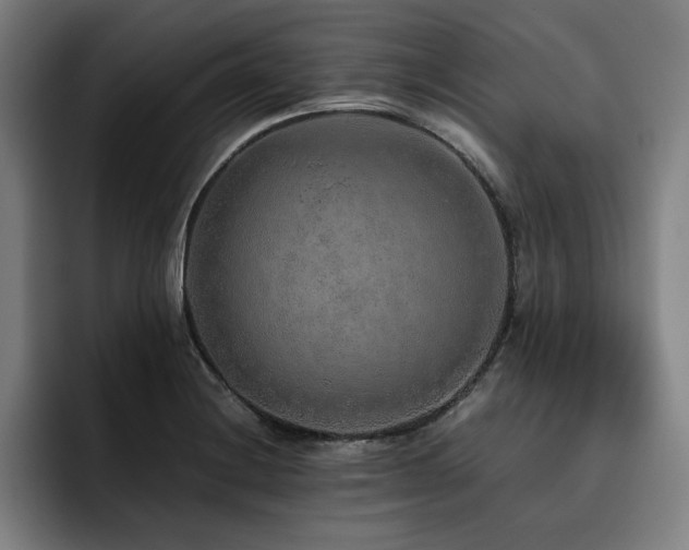 X0000093511228200710121525